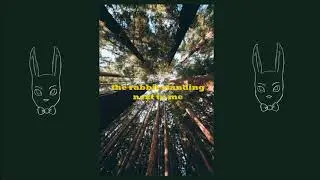 stuck down the wrong rabbit hole // oliver tree (lyrics)