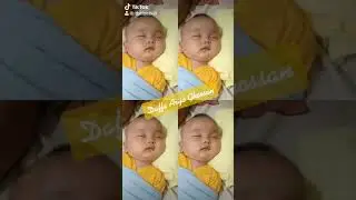 Simbull tiktok