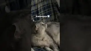 2 февраля 2026 г.