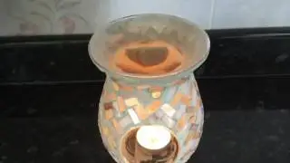 Melt/Tart Warmer