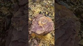 Wonderful stone hunting #natural #crystal #gemstones #agate #diamond #hunting