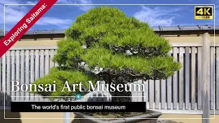 Bonsai Art Museum | The world's first public bonsai museum