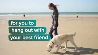 Keeping Adelaide&rsquo;s beaches sandy - Hang out with your best friend