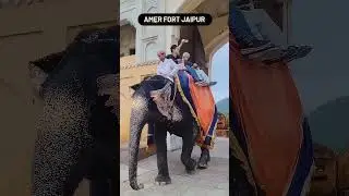 Amer Fort (Jaipur)