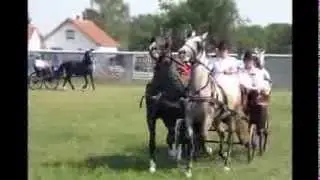 Takmičenje zaprega-Fijakerijada u Prnjavoru 05.08.2012