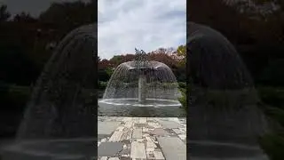 BEAUTIFUL FOUNTAIN ⛲️ #Shorts