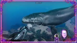 The most peaceful stream ever. Beyond Blue