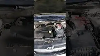 Сколько жрёт ваш зверь?