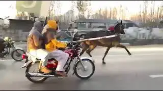 Mental horse full new try#allpakistantangarace#chachtangarace#horseraceinpakistan#horserace#horse