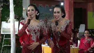 Pernikahan DWI & FAJAR - Resepsi - Duo Sinden Apri mimin Part 1