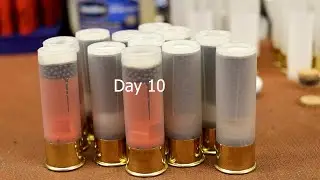 Day 10