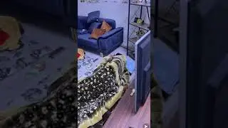 ژیان لەگەل مەلا قاتیلی زۆر زەحمەتە بزانە چی لە میران و گۆرانی دەکا ٢ شەوە😂mala qatel bazmi sherzadi