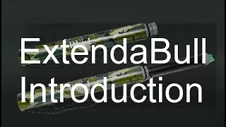 ExtendaBull bugle product intro