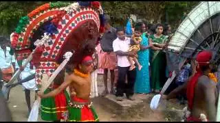 Kudallur 5.3.2012 (2)