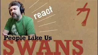 Swans 
