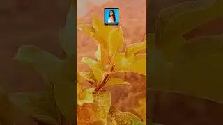 Day 01/30 mobile cinematography 😍 tutorial 😲#mobilecinematography #30daychallenge #cinematography