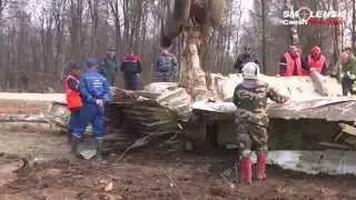 2010 Polish Air Force One Crash Evidence Destruction & Crash Site Contamination. Part 1