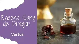 Sang de Dragon : Encens de Purification Protection et Amour - Aurore M&eacute;dium - L' Aurore C&eacute;leste
