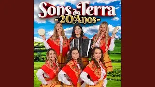 Medley 5 : Apita o Comboio / Tu És o Zé Que Fumas / Zum Zum Zum / Beijinhos Portugues / Zumba...