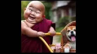 little monk #2024 #monk #Funny video#shorts#mr monk#monk
