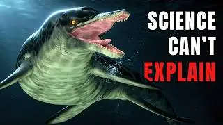 The First Animal To Reach Whale Size