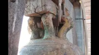 Il rinnovato concerto di campane della Cattedrale di Senigallia (AN)