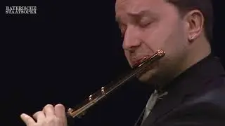 P. Taballione - 