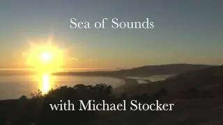 Sea of Sounds- Ocean Conservation Research