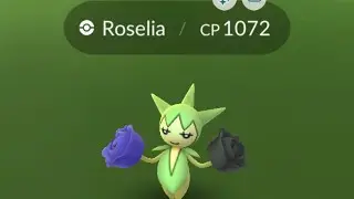 ROSELIA: Community Day event