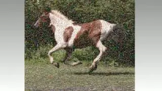 Photomosaic of my horse