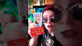 Tiny Tarot: A Magickal 🐈 😻 🐾😹️ Cat appears #crystinasmart #lowkeymagickal #tinytarot #cat   #tarot