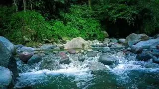 &ldquo;Calm River Water Sounds for Sleep and Deep Relaxation After Busy Day