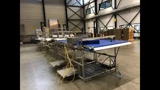 Carnitech salmon filleting line