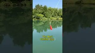 ЛУЧШИЕ оснастки для ловли сома с берега!! 🎣 #шорты #рыбалка