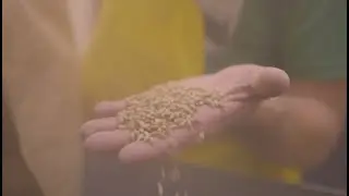 Les microbrasseries et le terroir qu&eacute;b&eacute;cois