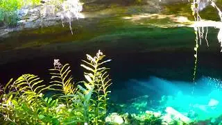 Lucayan National Park, Grand Bahama Island