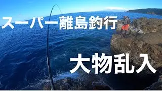 スーパー離島釣行　梅雨グレ爆釣　撮影中大物が乱入😄