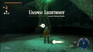 Legend of Zelda: Tears of the Kingdom - Uasnoj Lightroot Gameplay Walkthrough