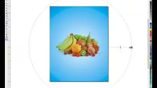 CorelDraw tutorial
