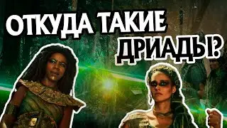 Откуда Тёмные Дриады в Лесу Брокилон? Про Сериал Ведьмак