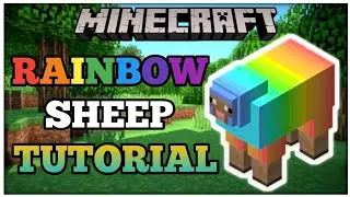 How To Make Rainbow Sheep in Minecraft (Java/Bedrock/Pe)