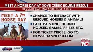 Meet a Horse Day returns May 17 at Dove Creek Equine Rescue
