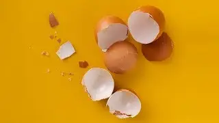 あなたにこの卵救えますか？【LOST EGG】#2