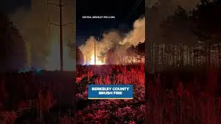 Large brush fire threatens homes in Berkeley County, coroner IDs man shot while driving