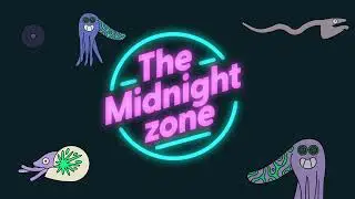 What's the Ocean Midnight Zone!? | Clip | Earth Cubs