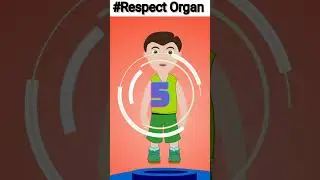Decomposing the Mysteries of body organs | Human body Organs #fact