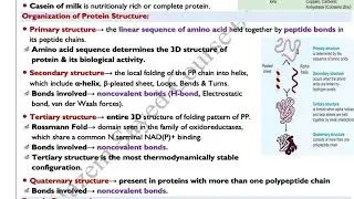 🔴 Organizational Structure of Protein, Dr.Hazem Sayed
