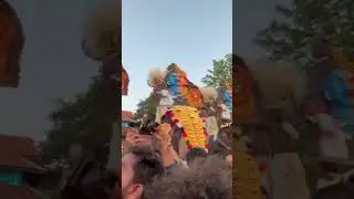 Thrissur Pooram 2025 #festvibes #festival #thrissur #travel #aesthetic #viral