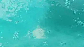 Air bubbles come out of pool return