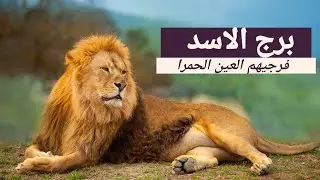 برج الأسد (خلال ستة أشهر) فلينحني الجميع إحتراماً للملوك.. 🫡💪🤴👸